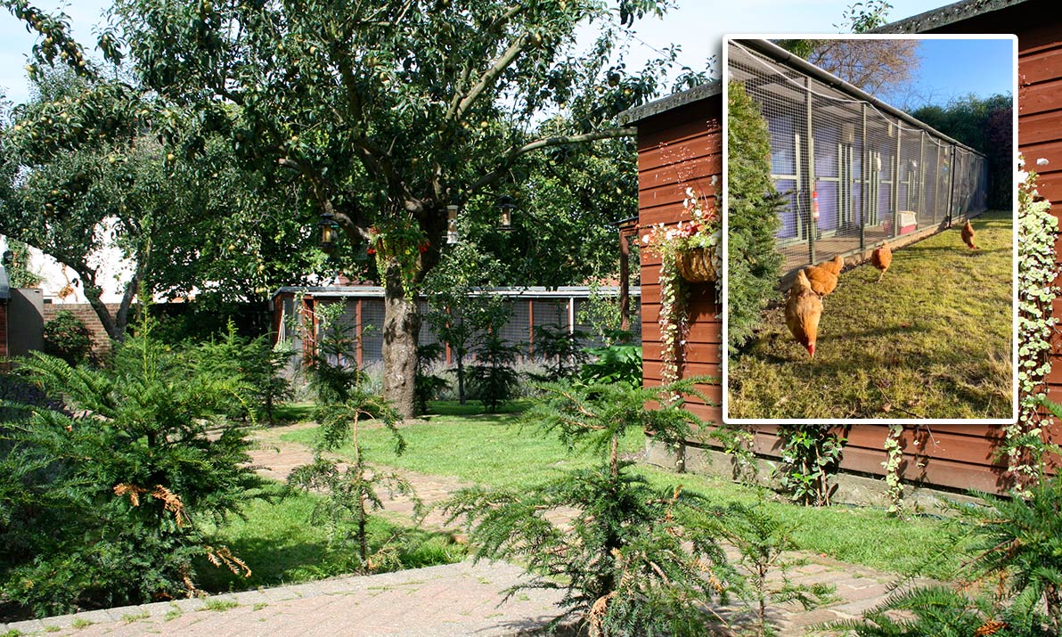 Cattery Gardens
